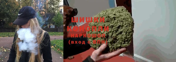 гашик Липки