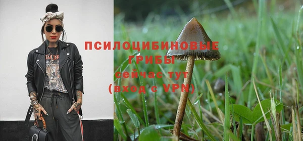 гашик Липки